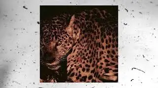DARK BOOM BAP BEAT - 
