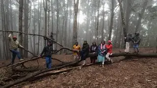 കുടുംബത്തോടൊപ്പം കൊടൈക്കനാലിലേക്ക് 😍/ kodaikanal/guna caves  #kodaikanal #gunacave #familytrip