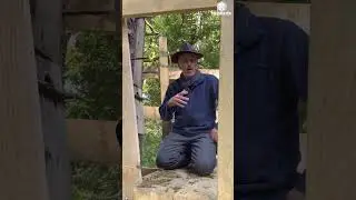 FreeTheBees Sentier d&eacute;couverte : plateforme d'observation d'une cavit&eacute;