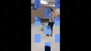 Pooch Partners Trailer (Winter)