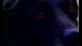 Part 2 Phantom Black Dogs Animal X