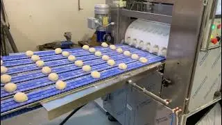 Domatic Sartori SVI divider-rounder: 6-row efficiency.