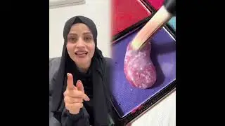 مجموعة فيديوهات مضحكة، أفضل مدونة، أحب عملك hdeel #funny #foryoupag 😏