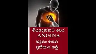 ANGINA