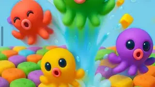 Octo Crush Su Mim Live And Member 31