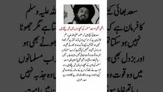 #tlp#tlpstatus#saadrizvi#saadhussainrizvi #tlplatestvideo