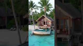 Treehouses Over Water: Hammock Lagoon Paradise 🌴💦