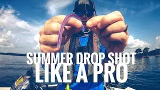 HOW TO DROP SHOT FISH LIKE A PRO | SUMMER | BRUSH PILE TIPS | LAKEMASTER CHART REVIEW | TACKLE SETUP