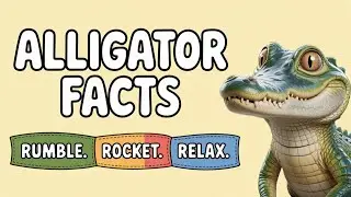 Amazing Alligator Facts for Kids | Swamp Drums and Rocket Tails