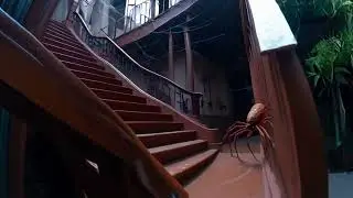 Spider by the stairway