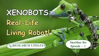 Xenobots: The World's First Living Robots Explained  | NextGen Bio #xenobots #livingrobots #ai