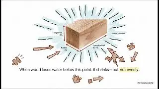 3. Physical Properties of Wood