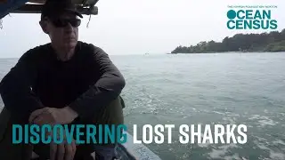 Discovering the Ocean&rsquo;s Lost Sharks, with Dr Dave Ebert