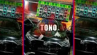 BANDIDO (DOBLE TONO) CEKY VICINY, PAPAA TYGA | PARA MUSICOLOGOS