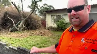 Answer to the question. Do I need a council permit for tree removal or pruning in Frankston?