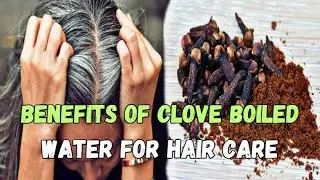 Benefits of Clove Boiled Water for Hair, Can Overcome Hair Loss, Gray Hair and ...