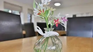 Banbury Lodge   Addiction Rehab (Virtual Tour Guide)