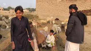 wadeRe jo Billo