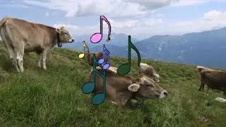 Mathon - Piz Beverin - Mathon - im Naturpark Beverin  /// 23. Juli 2023