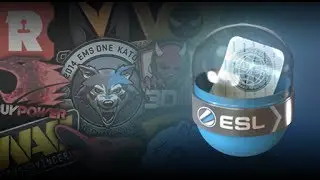 [CS:GO]Открываем капсулу EMS Katowice 2014 Challengers.