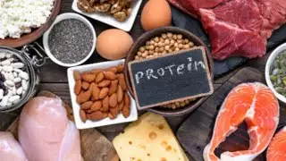 Qualité nutritionnel des protéines, protéine animale vs protéine végétale