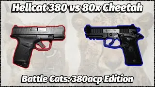 Битва 380acp Cats - Springfield Hellcat 380 против Beretta 80x Cheetah