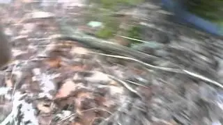 Unknown creature attacks man in West Virginia