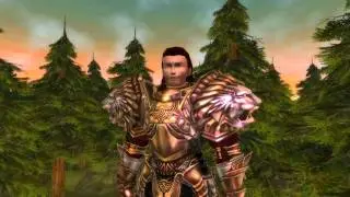Runes of Magic: Meet the Knight