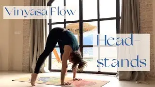 Vinyasa Flow ☀ 20 min Headstands Practice ☀  Lauren Simonis ☀