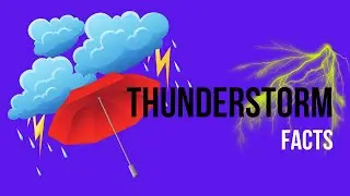 THUNDERSTORMS 101 facts 😱⚡