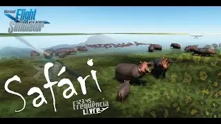 Animais no Flight Simulator 2020 - Como encontrar