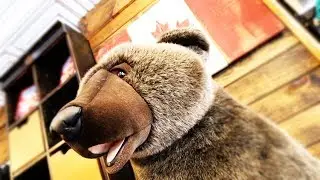 GOING to MUSKOKA BEAR WEAR in BRACEBRIDGE