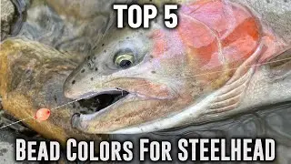 FIVE Bead Colors You Need To Have For Great Lakes Steelhead Fishing