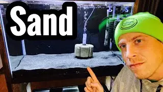 Rinse Aquarium Sand - How To Guide
