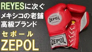 [ZEPOL] A review of the 8oz Professional Fight Gloves, a legendary Mexican luxury brand!