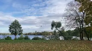 Der Hebstwind läßt die Blätter fallen