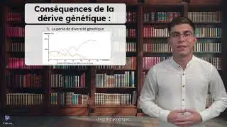 La d&eacute;rive g&eacute;n&eacute;tique - le hasard de l'&eacute;volution