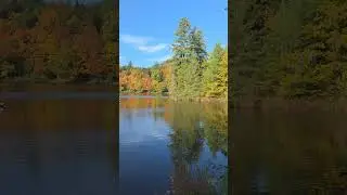 осенняя краса 13.10.25 Bergsee