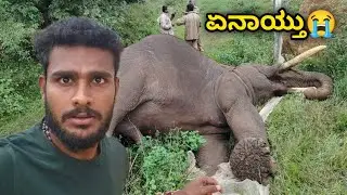 ಏನಾಯ್ತು ನೋಡಿ😱 Elephant Attack In Tribal Village | Camping | Avatar Shiva Official 