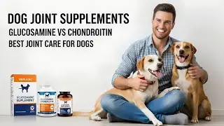 Dog Joint Supplements: Glucosamine vs Chondroitin | Best Joint Care for Dogs