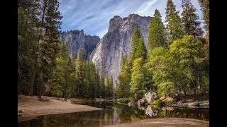 Top Ten most beautiful trees in the world | Top 10 most beautiful trees in the world