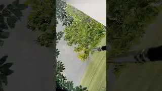 🍃🥰💚 Green nature 🍃#art #shorts