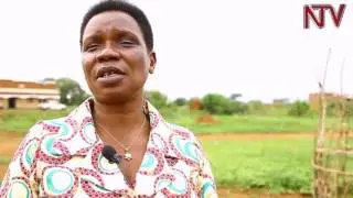 Abim residents get Shs3B agribusiness funding