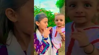 sar kattay ke bare ki jantay hai😂🤪#shorts#shortvideo#youtubeshorts#trending#viralvideo#funny