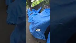 Ireland Is No Longer Safe 🇮🇪💔