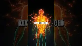 The Unseen Battle Within: How NAD+ Transformed Cellular Health