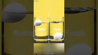 #lifehacks #experiment #science #5minutecrafts #hacks #facts #usefullifehacks