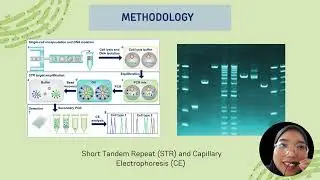 Evaluating novel and conventional cell-seperation techniques for sexual assault investigations)