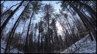 Winter Hiking through Ontario's Nature and Wildlife