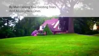 Best Tree Trimming and Removal Minneapolis, MN (763) 398-9496